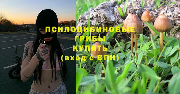экстази Алексеевка