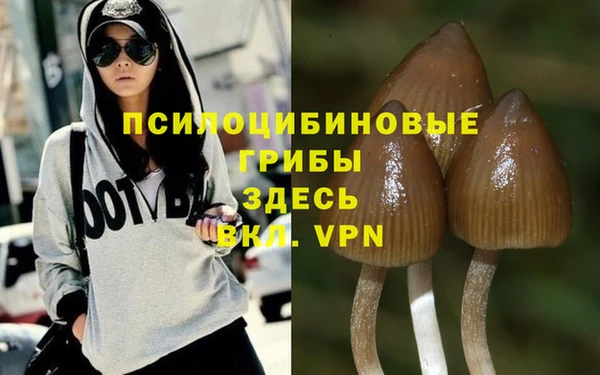 экстази Алексеевка