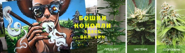 экстази Алексеевка