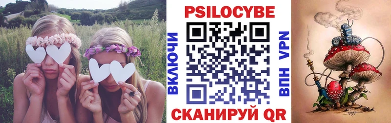 Галлюциногенные грибы Cubensis  darknet какой сайт  Куйбышев 